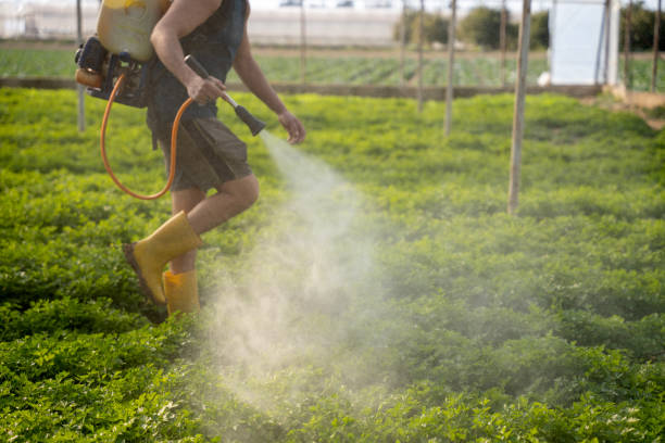 Best Pest Control for Businesses  in River Edge, NJ